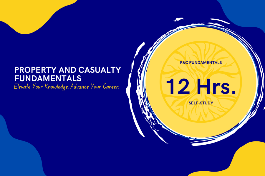 Property and Casualty Fundamentals #148126