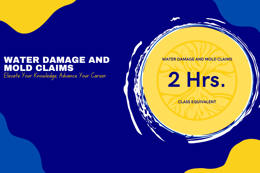 Texas Water Damage and Mold Claims #148180